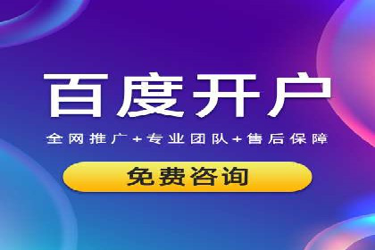 高效SEM托管服务：成功案例深度解析